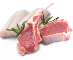 Acana Prairie Poultry